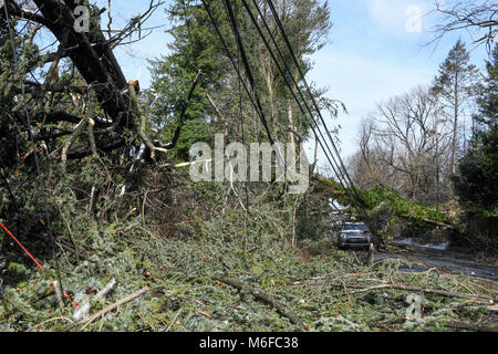 Pennysylvanie, USA. Le 3 mars 2018. Chute d'arbres sur les lignes électriques, les voitures et les maisons après une tempête météorologiques extrêmes s'bombogenesis et frappe la Côte Est des États-Unis : Don Mennig Crédit/Alamy Live News Banque D'Images