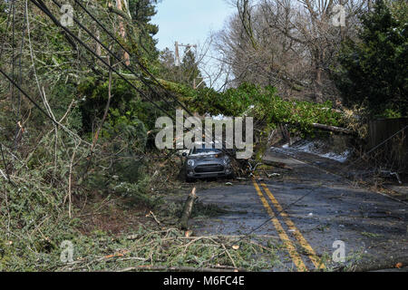 Pennysylvanie, USA. Le 3 mars 2018. Chute d'arbres sur les lignes électriques, les voitures et les maisons après une tempête météorologiques extrêmes s'bombogenesis et frappe la Côte Est des États-Unis : Don Mennig Crédit/Alamy Live News Banque D'Images