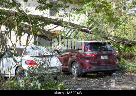 Pennysylvanie, USA. Le 3 mars 2018. Chute d'arbres sur les lignes électriques, les voitures et les maisons après une tempête météorologiques extrêmes s'bombogenesis et frappe la Côte Est des États-Unis : Don Mennig Crédit/Alamy Live News Banque D'Images