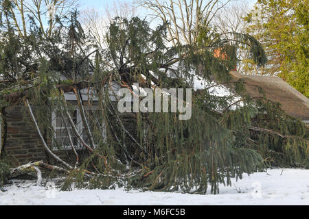 Pennysylvanie, USA. Le 3 mars 2018. Chute d'arbres sur les lignes électriques, les voitures et les maisons après une tempête météorologiques extrêmes s'bombogenesis et frappe la Côte Est des États-Unis : Don Mennig Crédit/Alamy Live News Banque D'Images