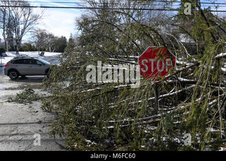 Pennysylvanie, USA. Le 3 mars 2018. Chute d'arbres sur les lignes électriques, les voitures et les maisons après une tempête météorologiques extrêmes s'bombogenesis et frappe la Côte Est des États-Unis : Don Mennig Crédit/Alamy Live News Banque D'Images