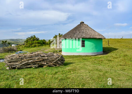 Une hutte ronde vert Xhosa ou rondavel avec des toits de chaume Maison de construction traditionnelle de bois et de la boue dans le Cap oriental à la côte sauvage de l'un Banque D'Images