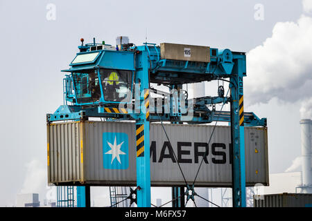 ROTTERDAM, Pays-Bas - SEP 6, 2013 : déplacement d'un transporteur de chevauchement dans le Maersk Container Terminal maritime du Port de Rotterdam. Banque D'Images