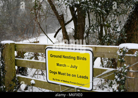 Les oiseaux qui nichent au sol monté sur panneau clôture sur Canada partie commune du parc national de New Forest.Alors que le sol est couvert de neige en mars. Banque D'Images