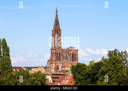 La Cathédrale de Notre Dame de Strasbourg (Notre-Dame), une cathédrale catholique romaine à Strasbourg, Alsace, France. Plus haut bâtiment du monde de 1647 à Banque D'Images