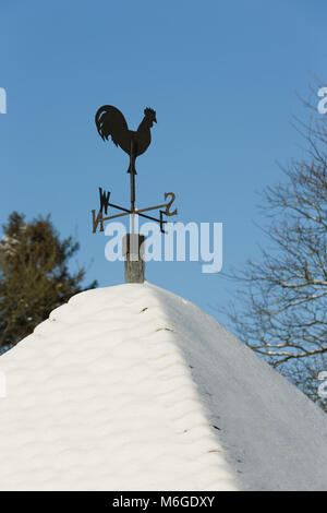 Girouette coq face à l'est sur la neige a couvert les carreaux avec ciel bleu. Banque D'Images