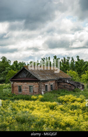 Vieux chichack et herbe en fleur dans la campagne. Fleurs jaunes et herbe verte poussant près d'une hutte en bois vieillie contre ciel nuageux. Ancienne maison en rondins abandonnée Banque D'Images