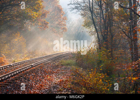 Voie de chemin de fer / ligne qui traverse la forêt dans l'automne UK Banque D'Images