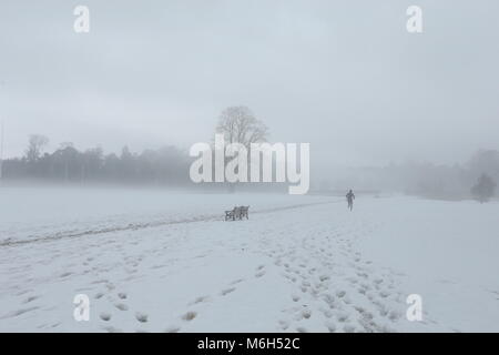 Dublin, Irlande. 4e Mar, 2018. Un jogger s'exécute à travers le brouillard dans un couvert de neige les endroits records à Saint-imier à Dublin. Libre à partir de Dublin, Irlande au cours de la suite de la tempête Emma. Credit : Brendan Donnelly/Alamy Live News Banque D'Images