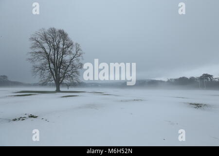 Dublin, Irlande. 4e Mar, 2018. Les endroits records à Saint-imier à Dublin recouverte de neige et brouillard. Libre à partir de Dublin, Irlande au cours de la suite de la tempête Emma. Credit : Brendan Donnelly/Alamy Live News Banque D'Images