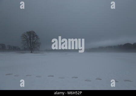 Dublin, Irlande. 4e Mar, 2018. Les endroits records à Saint-imier à Dublin recouverte de neige et brouillard. Libre à partir de Dublin, Irlande au cours de la suite de la tempête Emma. Credit : Brendan Donnelly/Alamy Live News Banque D'Images