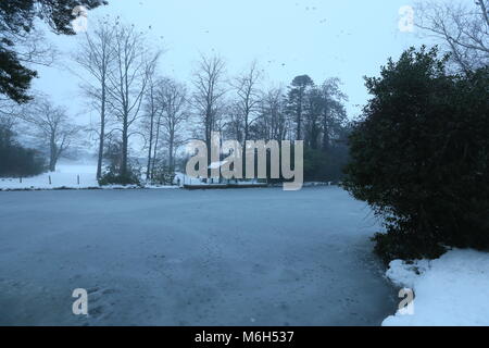 Dublin, Irlande. 4e Mar, 2018. Un étang gelé dans les endroits records à Saint-imier à Dublin recouverte de neige et brouillard. Libre à partir de Dublin, Irlande au cours de la suite de la tempête Emma. Credit : Brendan Donnelly/Alamy Live News Banque D'Images