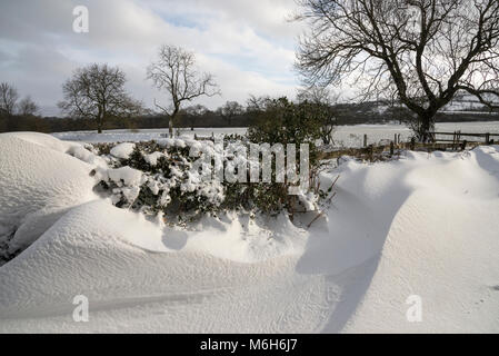 Des congères profondes à côté d'un chemin de campagne anglaise sur un matin d'hiver. Banque D'Images