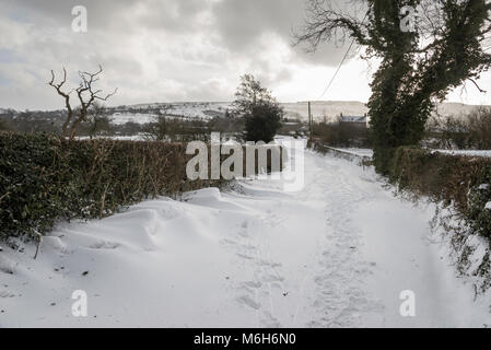 Des congères profondes sur un chemin de campagne anglaise. Prises au cours de la 'bête' de l'est 2018. Banque D'Images