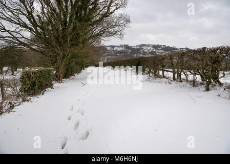 La neige profonde sur un chemin de campagne dans la campagne anglaise. Banque D'Images