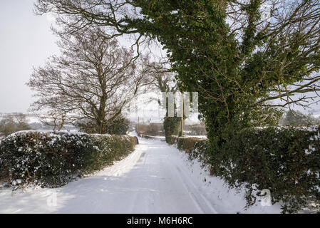 La neige profonde sur un chemin de campagne dans la campagne anglaise. Banque D'Images