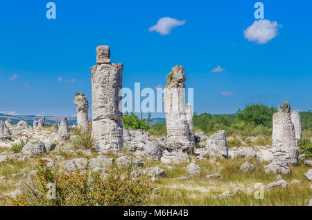 Le phénomène naturel Pobiti Kamani, connue comme la forêt de pierre et Dikilitash, repère naturel dans un lieu sacré près de Varna, Bulgarie Banque D'Images