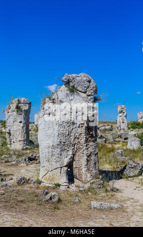 Le phénomène naturel Pobiti Kamani, connue comme la forêt de pierre et Dikilitash, repère naturel dans un lieu sacré près de Varna, Bulgarie Banque D'Images