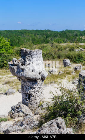 Le phénomène naturel Pobiti Kamani, connue comme la forêt de pierre et Dikilitash ,repère naturel dans un lieu sacré près de Varna, Bulgarie Banque D'Images