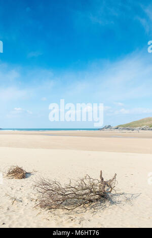 La plage de Crantock primé à Newquay Cornwall. Banque D'Images