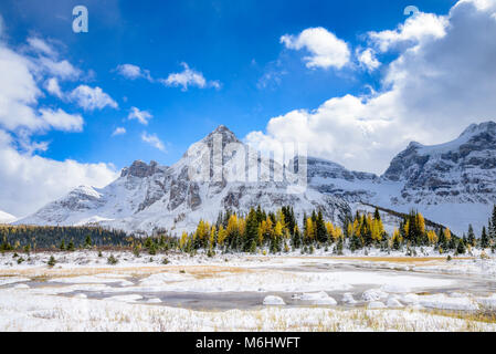 Le parc provincial du mont Assiniboine, Colombie Britannique, Canada Banque D'Images