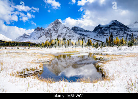 Le parc provincial du mont Assiniboine, Colombie Britannique, Canada Banque D'Images