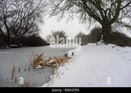 Le Basingstoke Canal à Odiham dans le Hampshire sur un jour d'hiver, neige Banque D'Images