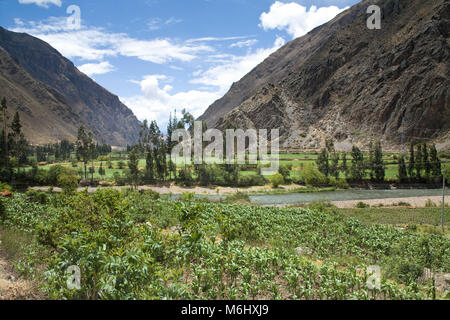 Terres agricoles fertiles le long de la rivière Urubamba près de Olantaytambo dans la Vallée Sacrée des Incas, au Pérou. Banque D'Images