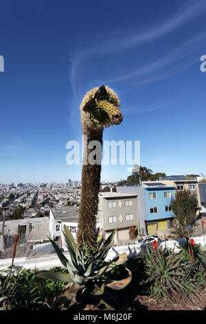 Cactus Agave dramatique avec tige avec dingo lunettes de soleil. Silly fun humor. San Francisco, Californie. Banque D'Images