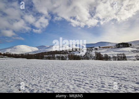 À l'ouest de Glen Clova, qui est au coeur de l'Angus Glens en Ecosse. Une récente chute de neige recouvre les champs et les collines de neige. Banque D'Images