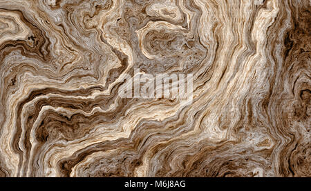 La texture des racines de l'arbre avec des lignes ondulées et anneaux d'âge. Résumé fond. Banque D'Images