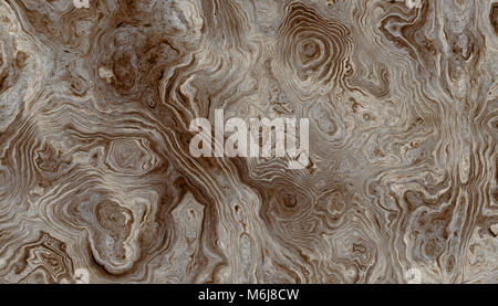 La texture des racines de l'arbre avec des lignes ondulées et anneaux d'âge. Résumé fond. Banque D'Images