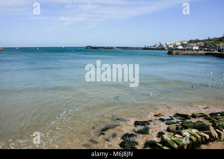 Paysage paysage sur une journée ensoleillée dans la baie de Swanage et parc Durlston Country, Swanage, Dorset, UK Banque D'Images