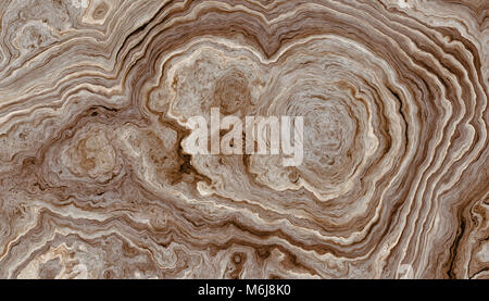 La texture des racines de l'arbre avec des lignes ondulées et anneaux d'âge. Résumé fond. Banque D'Images