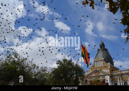 Birds flying over Plaza Place Murillo à La Paz, Palacio de Gobierno, Bolivie Banque D'Images