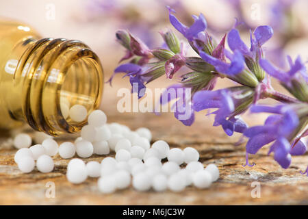 La médecine alternative avec des herbes médicinales et homéopathiques comprimés Banque D'Images