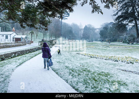 Un chien walker dans Trenance Gardens marche à travers les fortes chutes de neige Newquay Cornwall. Banque D'Images