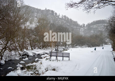 Cascade de Rhaeadr Pistyll montagnes Berwyn Banque D'Images