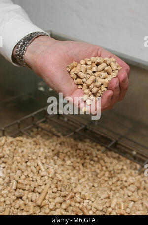 L'énergie de biomasse briquettes est utiliser dans une maison familiale de chauffage 2007 Banque D'Images