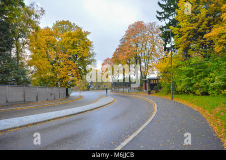 Couverture des arbres avec des couleurs de printemps de chaque côté de la route à Oslo en Norvège, pendant une saison, en 2015 Banque D'Images