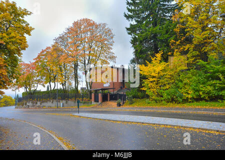 Couverture des arbres avec des couleurs de printemps de chaque côté de la route à Oslo en Norvège, pendant une saison, en 2015 Banque D'Images
