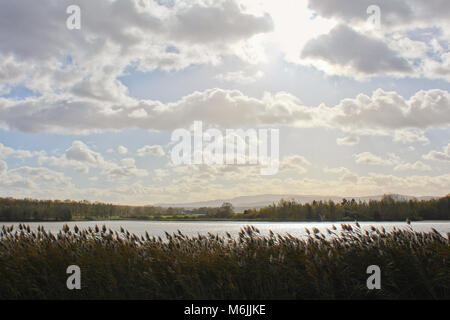 Vue sur étang et à big grass hill Klet. Paysage tchèque Banque D'Images