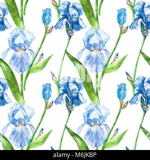 Fleurs d'Iris. Aquarelle illustration botanique dessiné à la main de fleurs. Modèle sans couture. Banque D'Images