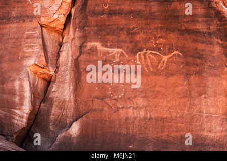 Pétroglyphes Anasazi sculptés sur une falaise du canyon de Chelly représentant deux chevaux et le symbole de l'infini, de l'Arizona. Banque D'Images