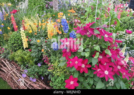 Couleur d'été de l'exposition jardins du RHS Chelsea Flower Show, Mai 2017 Banque D'Images
