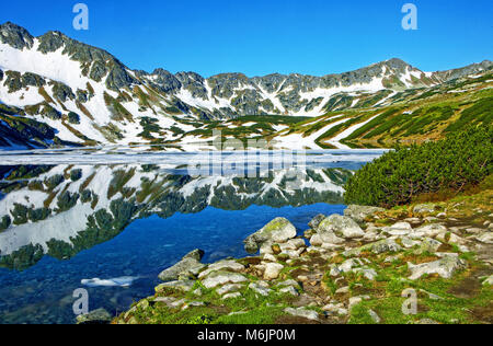 La Pologne, Tatras, vallée de cinq étangs Banque D'Images