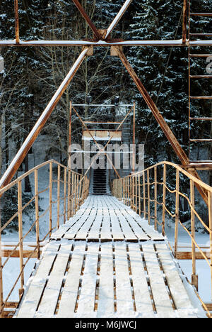 Pont métallique à une promenade à travers un ravin de la forêt d'hiver Banque D'Images