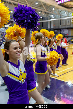 Albany, NY, USA. 3e Mar, 2018. Stony Brook dans le 69-60 Albany défaites America East Conference tournament quaterfinals au SEFCU Arena, le 3 mars 2018. Albany cheerleaders. Credit : csm/Alamy Live News Banque D'Images