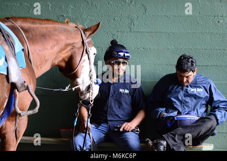 Arcadia, CA, USA. 5Th Mar, 2018. Suivre l'équipage de se reposer dans l'entrée du tunnel à la piste de Santa Anita Race Track, Arcadia, Californie, USA, le 4 mars 2018.Image Crédit cr Scott Mitchell/ZUMA Press Crédit : Scott Mitchell/ZUMA/Alamy Fil Live News Banque D'Images