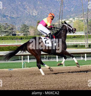 Arcadia, CA, USA. 5Th Mar, 2018. Cheval de course - MYTHE SENSIBLE a franchi la ligne d'arrivée en dernière place lors de la 7ème course à Santa Anita Race Track, Arcadia, Californie, USA, le 4 mars 2018.Image Crédit cr Scott Mitchell/ZUMA Press Crédit : Scott Mitchell/ZUMA/Alamy Fil Live News Banque D'Images